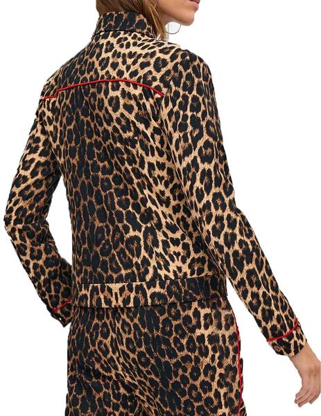 Gallery a02858 wlvjbibs